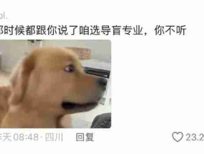 汪！选错专业入错行！