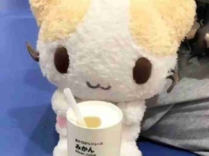 原来你叫棉花糖猫