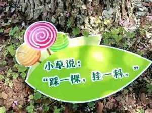 有效标语的重要性！中式诅咒！