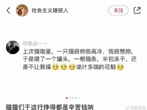 猫猫们干这行挣得都是辛苦钱呐 ​​​