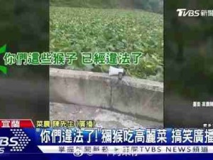 就是因为迷惑才会上新闻啊