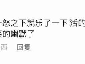 给自己不争气地气笑了