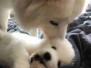 好乖呀真的是小天使