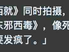 没有《东邪五毒》无法成就《东成西就》
