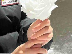 雪玫瑰！太美了！浪漫至死不渝