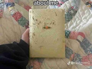 外婆的日记本，我生活的无声守护者！