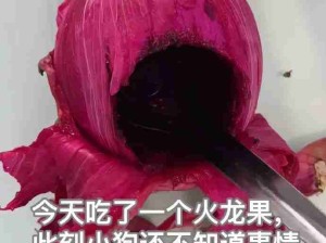 真是一场酣畅淋漓的沙龙美发啊