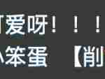 摇粒绒小猫，凌乱的小可爱！