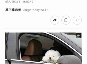 小狗能量我吸吸吸！