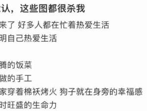 喜欢这种治愈生活