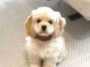 宝宝们的萌力无法抵挡，我要吸个不停！