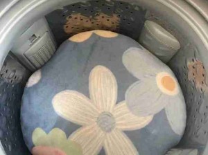 禁止在洗衣机里发面哈哈哈