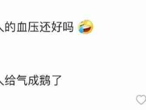 气得血压升高变成鹅哈哈哈