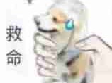狠狠拿捏的小动物 ​​​