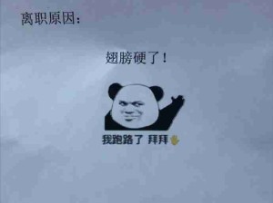 打工人有几个不发疯的呢