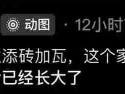 我跟你们这些会来事的拼了