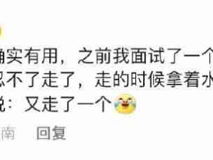 打工人不骗打工人