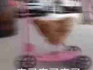 听八卦我第一个赶到