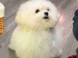 宝宝你是一团蓬松小棉花