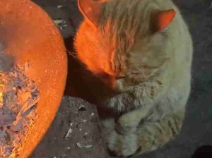 宝宝别给自己烤糊了