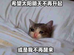 悲伤高达猫猫！呜呜呜谢谢你的理解！