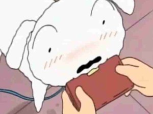 奇迹犬小白！是我的白神！